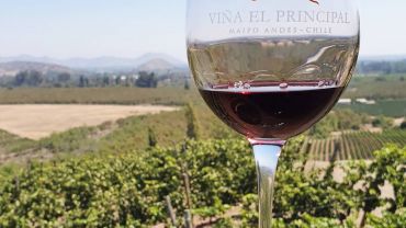 VINÍCOLA EL PRINCIPAL